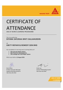 Unity repair and remedy Certification