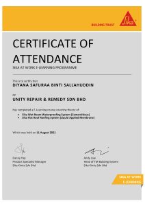 Unity repair and remedy Certification